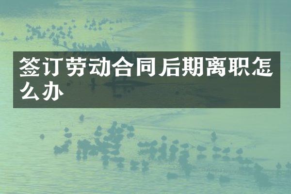 签订劳动合同后期离职怎么办