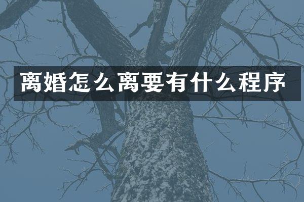 离婚怎么离要有什么程序