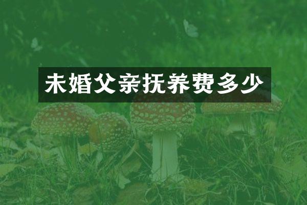 未婚父亲抚养费多少