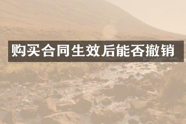 购买合同生效后能否撤销
