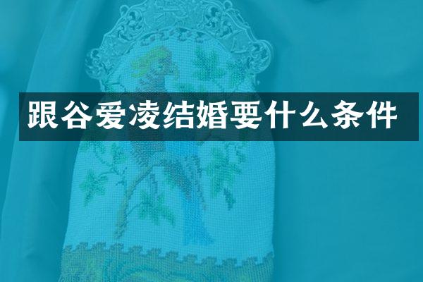跟谷爱凌结婚要什么条件