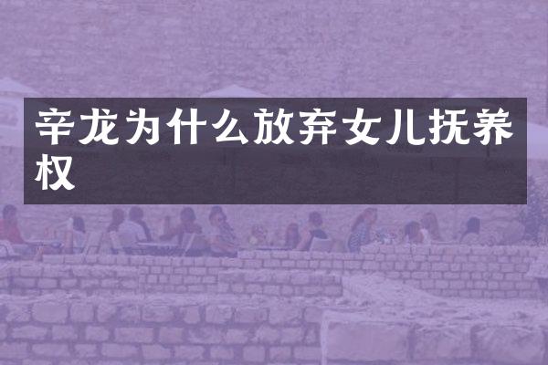 辛龙为什么放弃女儿抚养权