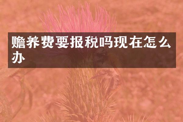 赡养费要报税吗现在怎么办