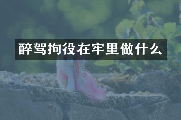 醉驾拘役在牢里做什么