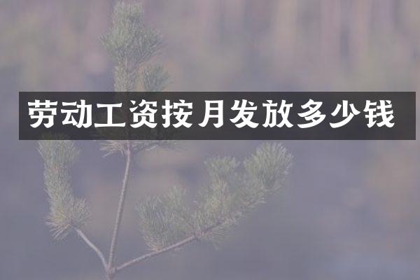 劳动工资按月发放多少钱