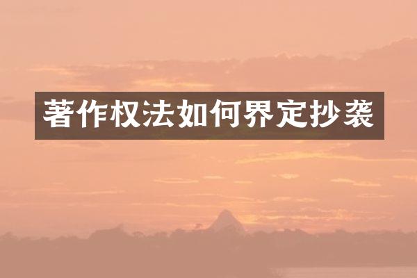 著作权法如何界定抄袭