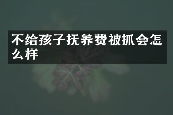 不给孩子抚养费被抓会怎么样
