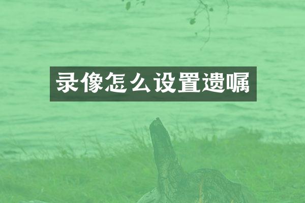 录像怎么设置遗嘱