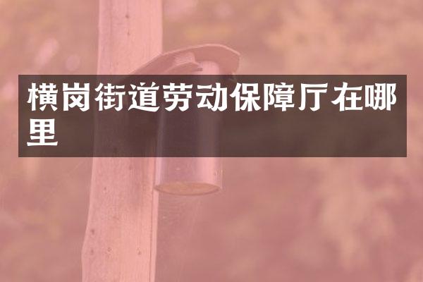 横岗街道劳动保障厅在哪里