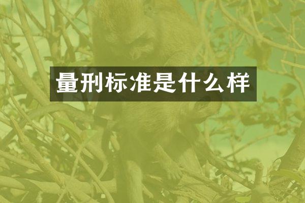 量刑标准是什么样