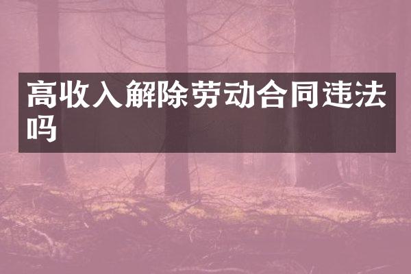 高收入解除劳动合同违法吗