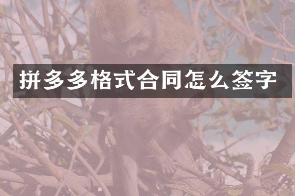 拼多多格式合同怎么签字