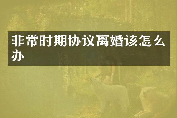 非常时期协议离婚该怎么办