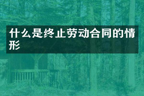 什么是终止劳动合同的情形