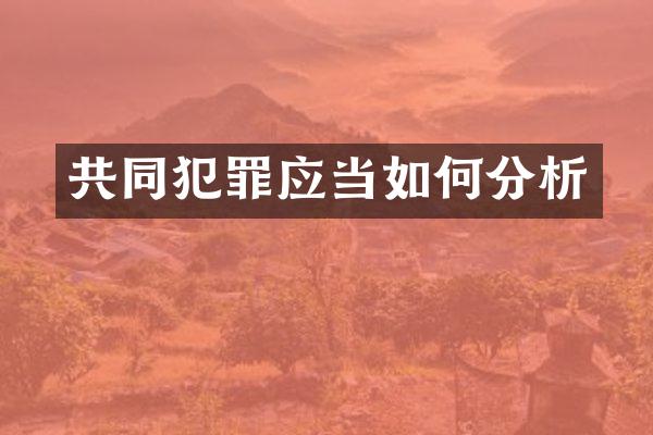 共同犯罪应当如何分析