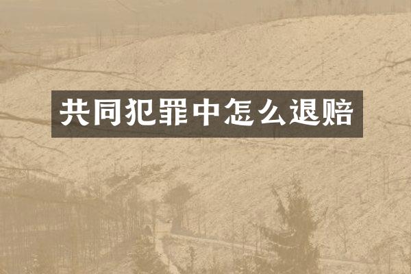 共同犯罪中怎么退赔