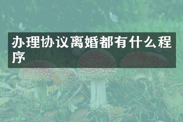 办理协议离婚都有什么程序