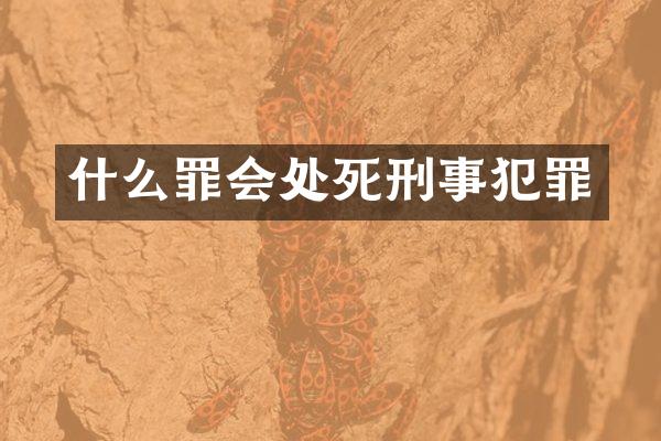 什么罪会处死刑事犯罪