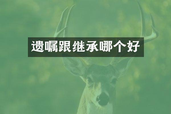 遗嘱跟继承哪个好