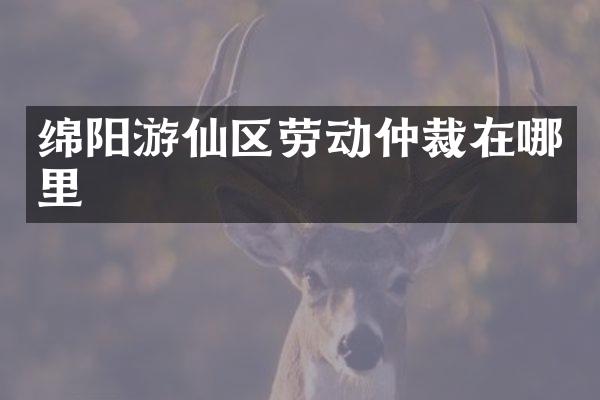 绵阳游仙区劳动仲裁在哪里