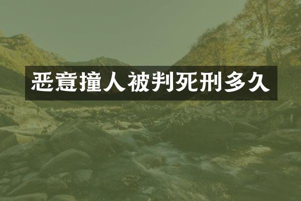 恶意撞人被判死刑多久
