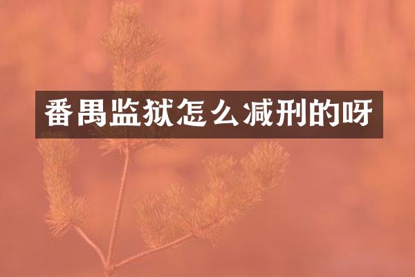 番禺监狱怎么减刑的呀