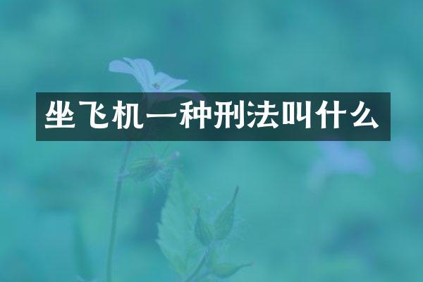 坐飞机一种刑法叫什么