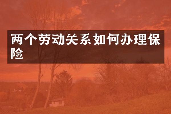 两个劳动关系如何办理保险