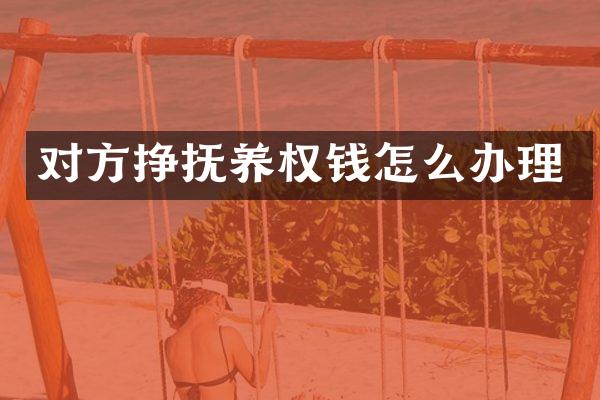 对方挣抚养权钱怎么办理