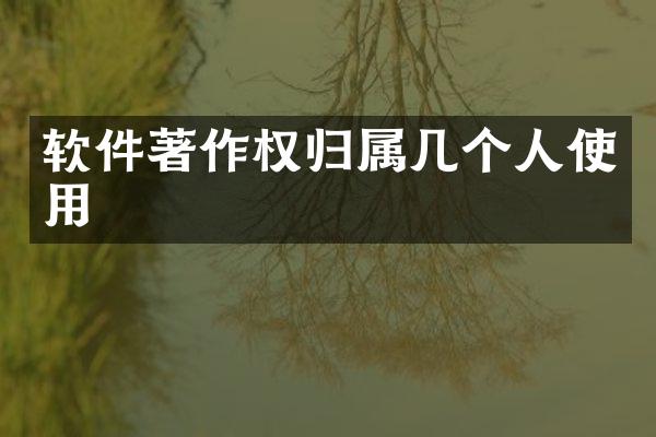 软件著作权归属几个人使用