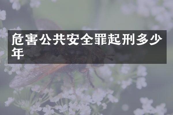 危害公共安全罪起刑多少年