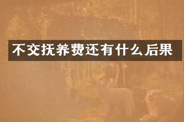 不交抚养费还有什么后果