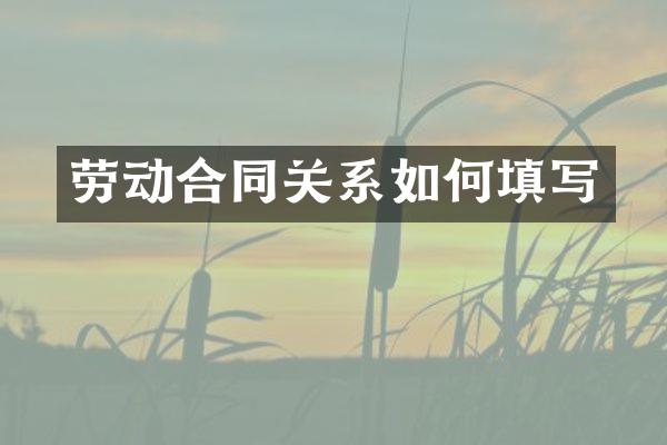劳动合同关系如何填写