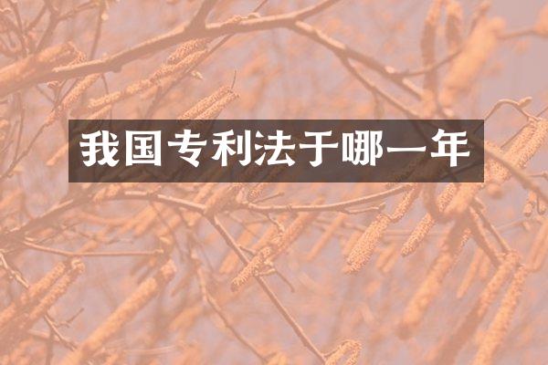 我国专利法于哪一年