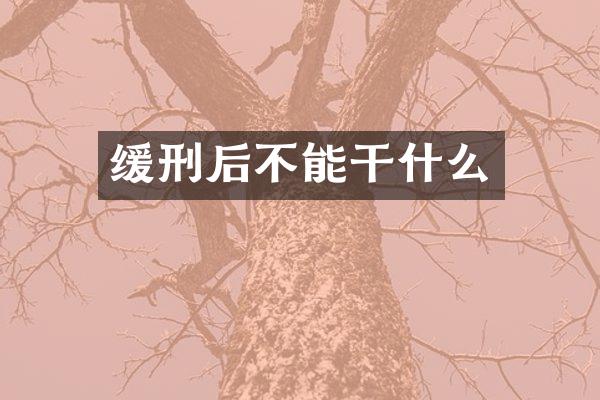 缓刑后不能干什么