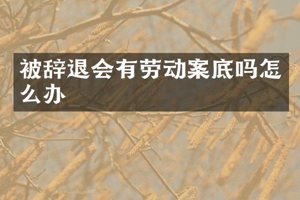 被辞退会有劳动案底吗怎么办