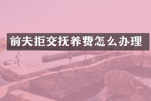 前夫拒交抚养费怎么办理