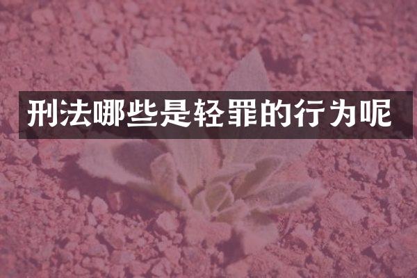 刑法哪些是轻罪的行为呢