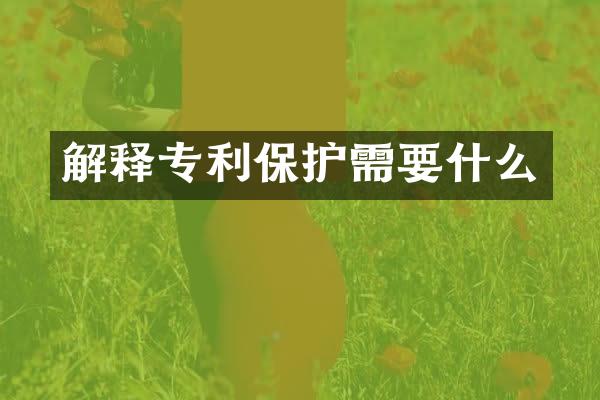解释专利保护需要什么