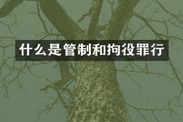 什么是管制和拘役罪行
