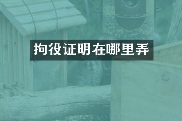 拘役证明在哪里弄