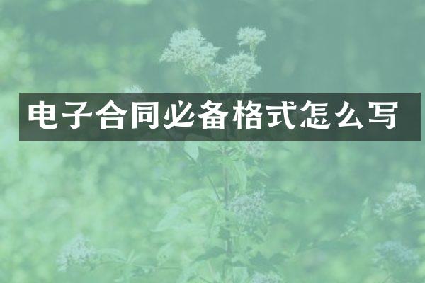 电子合同必备格式怎么写
