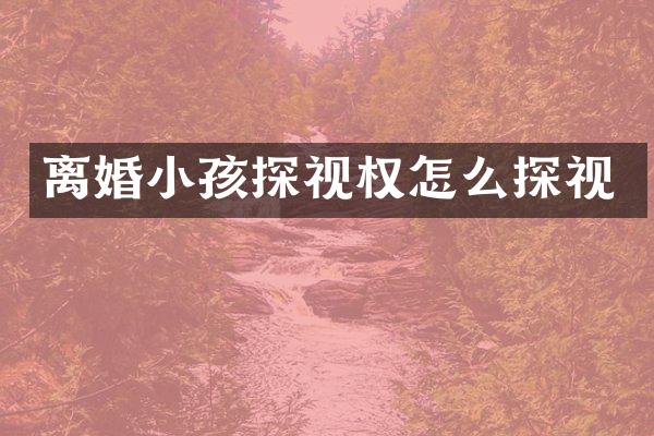 离婚小孩探视权怎么探视