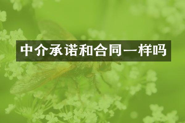 中介承诺和合同一样吗