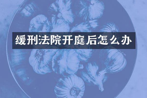 缓刑法院开庭后怎么办