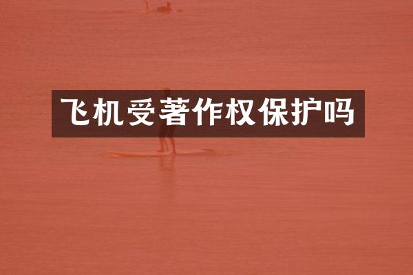 飞机受著作权保护吗