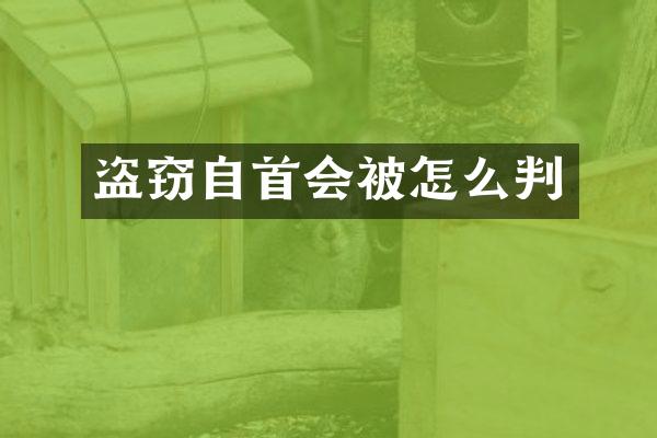盗窃自首会被怎么判