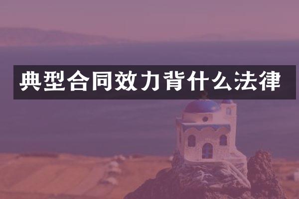 典型合同效力背什么法律