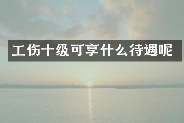 工伤十级可享什么待遇呢