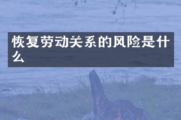 恢复劳动关系的风险是什么